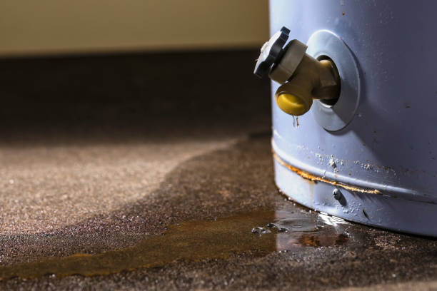 Best Water damage restoration near me  in Altadena, CA
