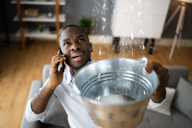 Best Residential water damage restoration  in Altadena, CA