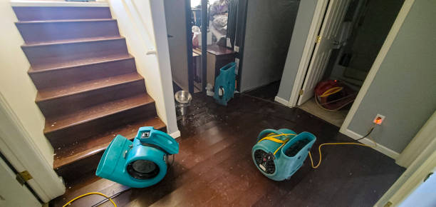 Best Water damage restoration cost  in Altadena, CA