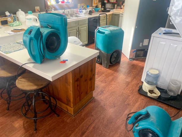 Best 24/7 water damage repair  in Altadena, CA