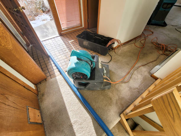 Best Water damage contractors near me  in Altadena, CA
