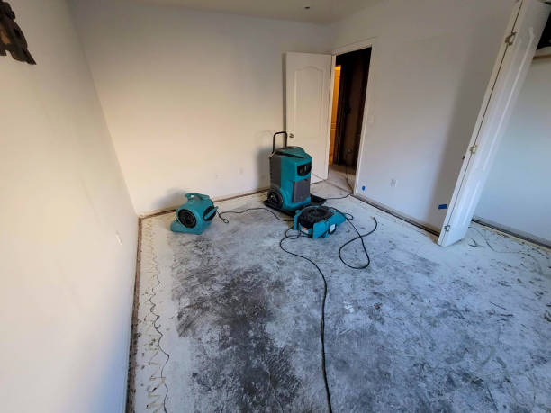 Best Water damage restoration process  in Altadena, CA
