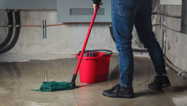 Best Water damage cleanup near me  in Altadena, CA