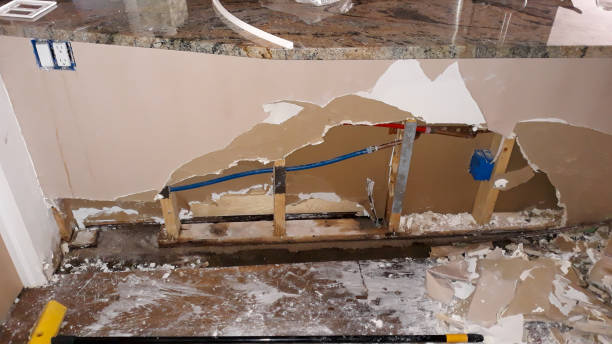 Best Flood damage cleanup  in Altadena, CA