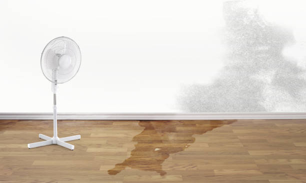 Best Basement water damage restoration  in Altadena, CA