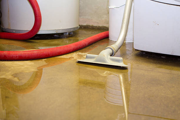 Best Ceiling water damage repair  in Altadena, CA