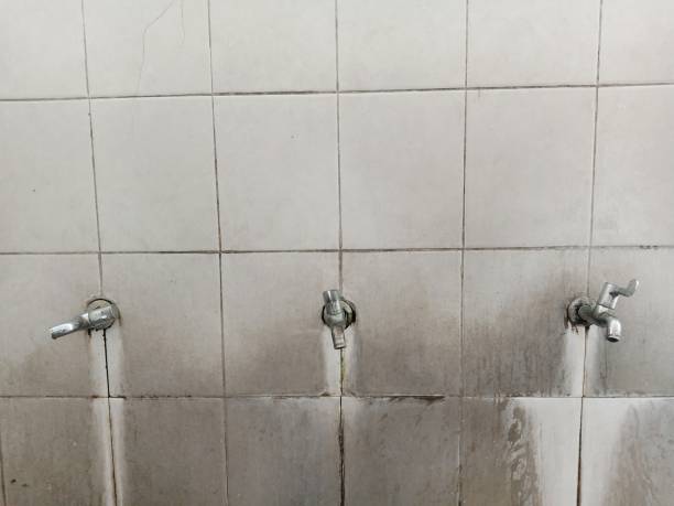  Altadena, CA Water damage restoration Pros