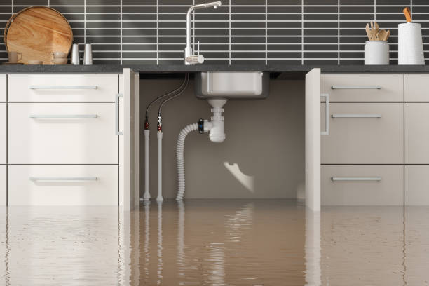 Best Emergency water damage restoration  in Altadena, CA