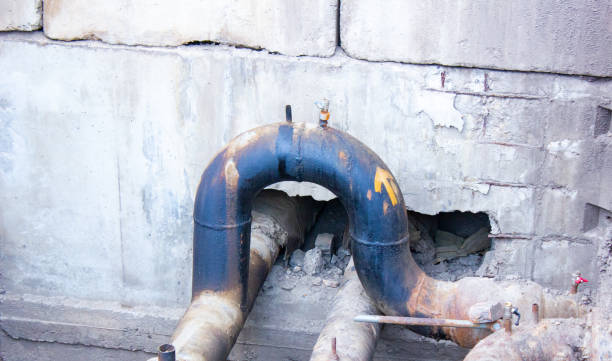 Best Fire Damage Restoration  in Altadena, CA