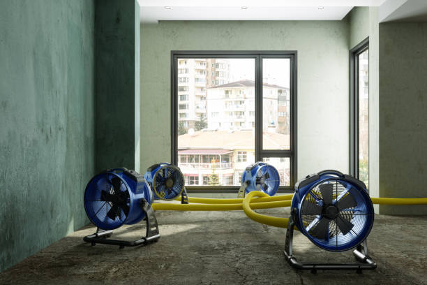 Best Water damage contractors near me  in Altadena, CA
